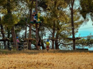 Outdoor adventure park with people navigating tree obstacles in Liguria, Italy.