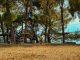 Outdoor adventure park with people navigating tree obstacles in Liguria, Italy.